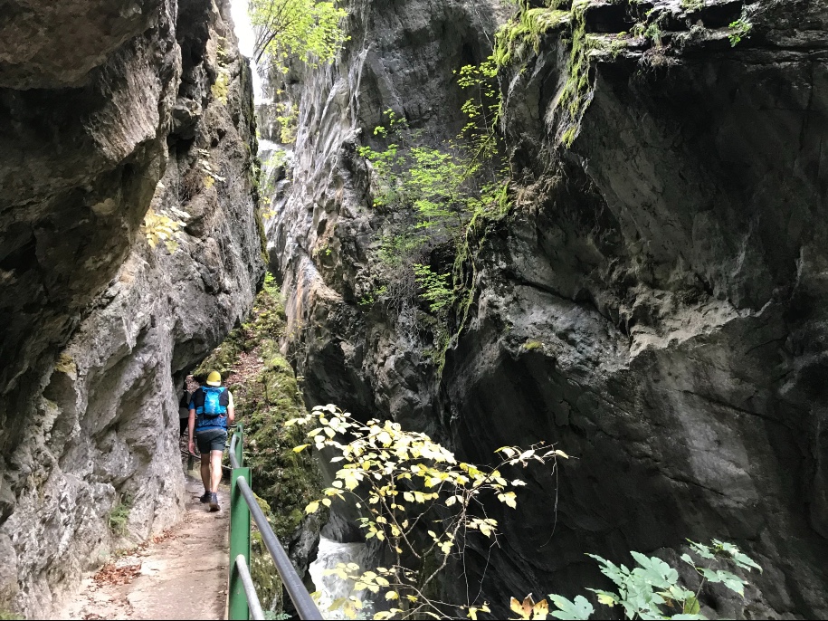 Stage trail perfectionnement dans le Jura sur les terres de Patrick Bohard 5