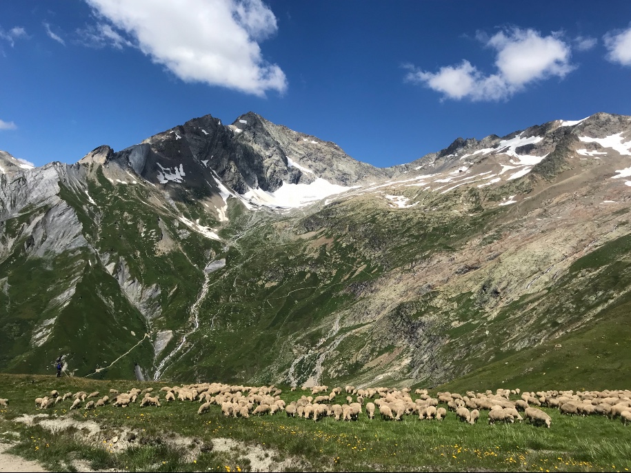 Rando -  Autour du Mont Blanc 7 jours 8