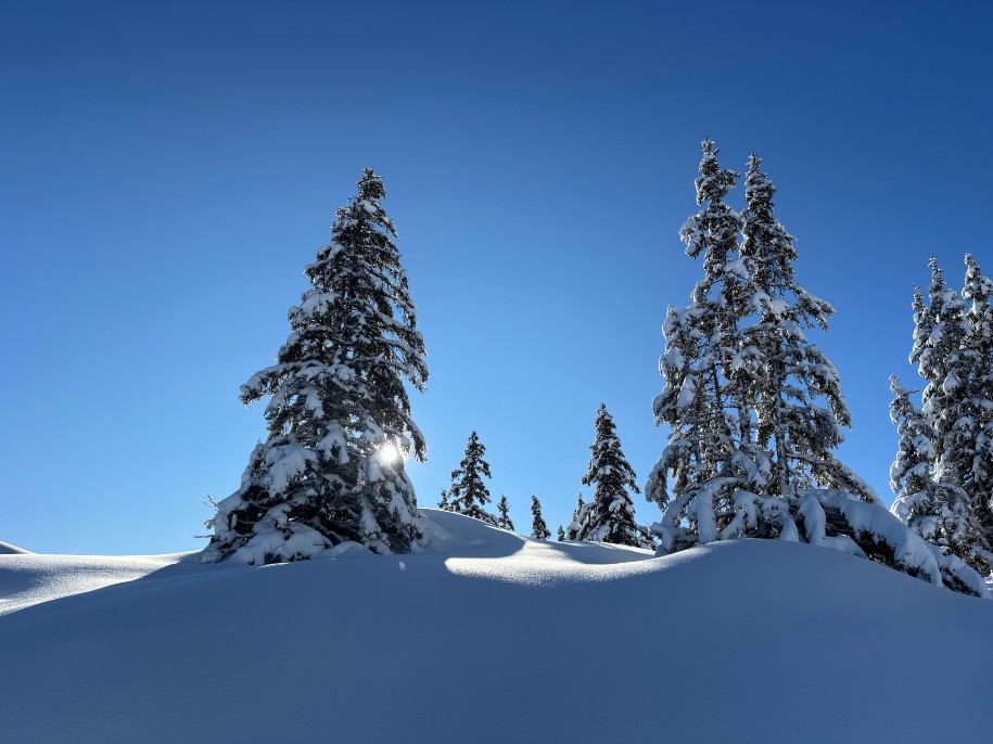 Raquettes et nuit en refuge 2