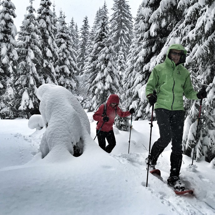 Nordic Fitness à Crest Voland 4