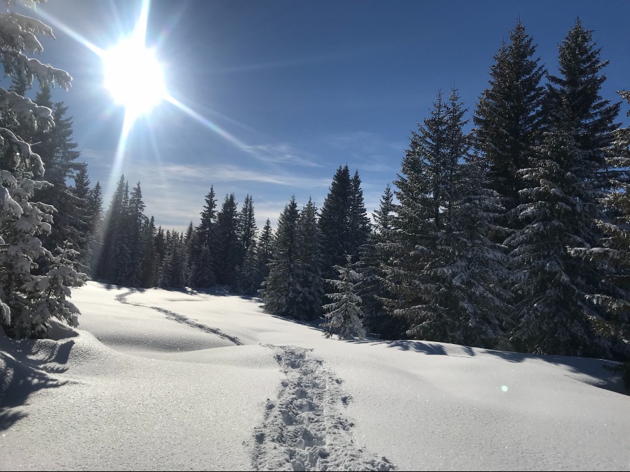 Rando raquettes sportive 3