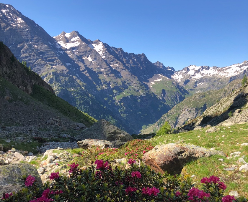 Trail Tour des Ecrins 8