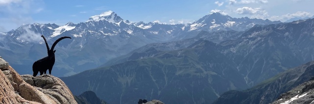 Témoignage Stages trail 4