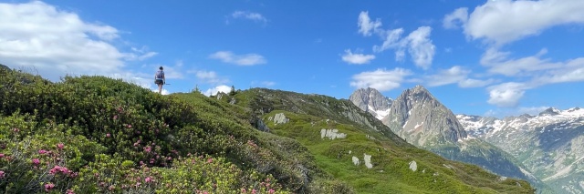 Témoignage Accueil 2
