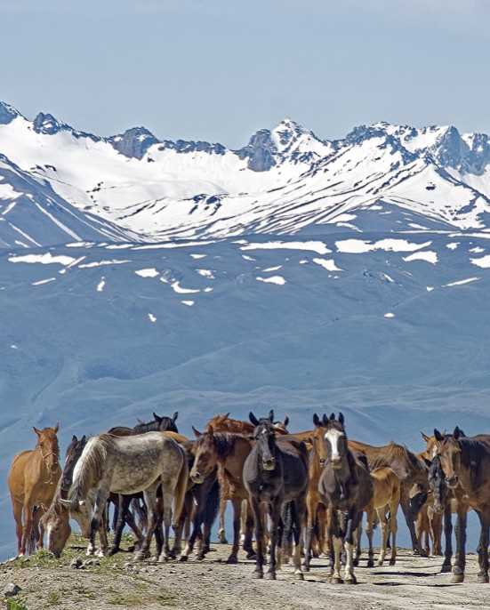 Trek nomade au Kirghizistan 2
