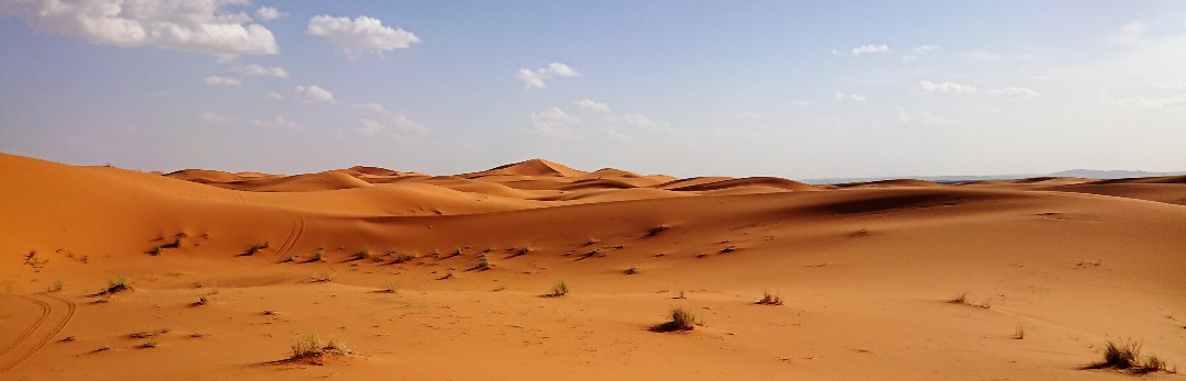 Séjour trail dans le désert marocain 2