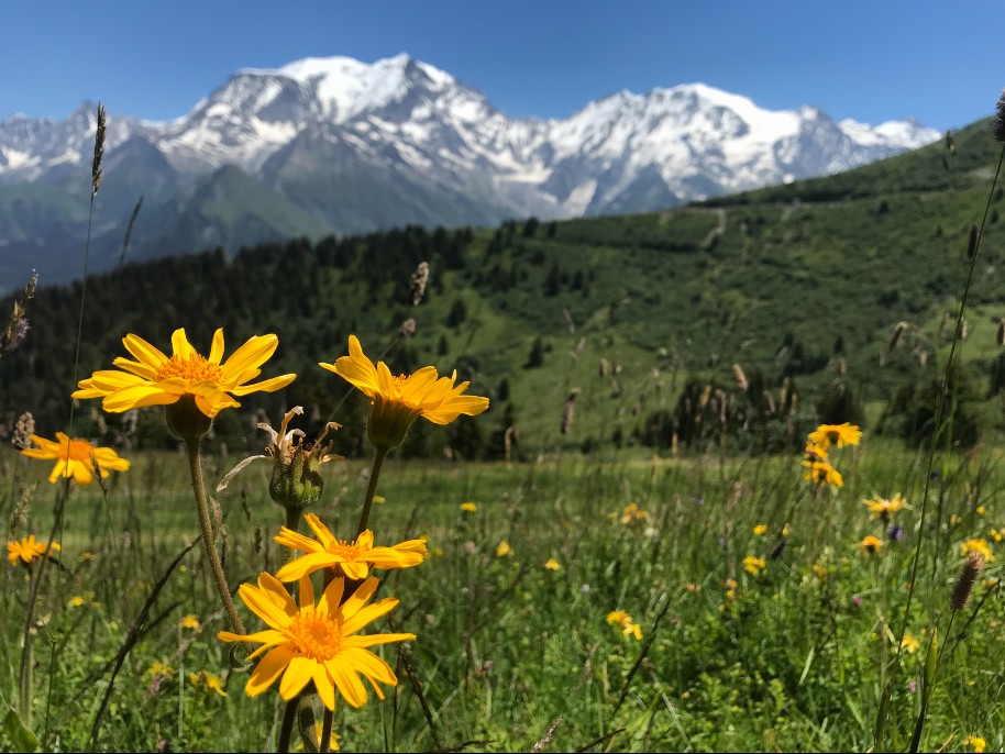 Rando Panorama - Les crêtes du Beaufortain 1
