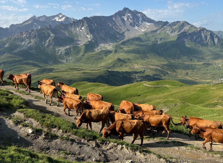 Rando Lac - Roselend et le Roc du Vent 2