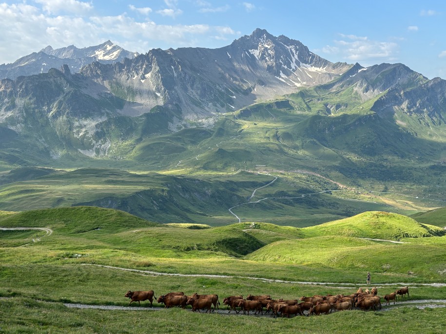Rando Lac - Roselend et le Roc du Vent 5