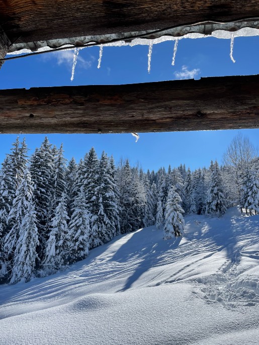 Le beaufortain en raquettes 5