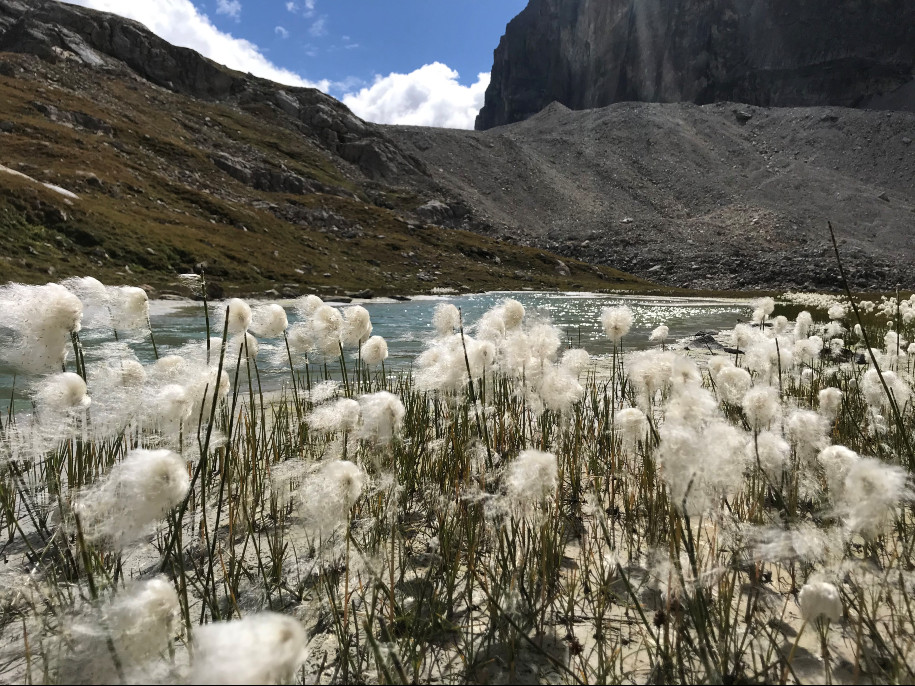 Trail dans le Grand Paradis 14