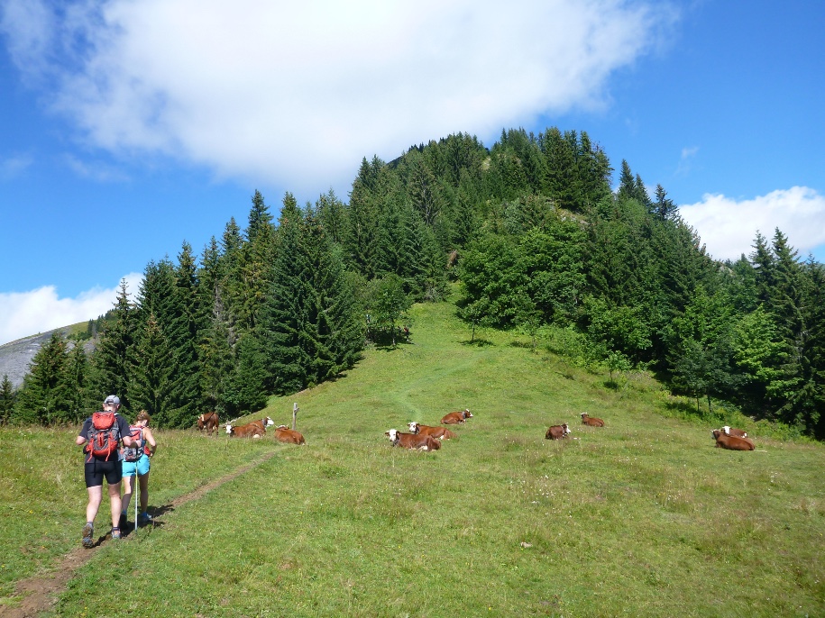 Initiation trail en montagne dans la vallée de Chamonix 5