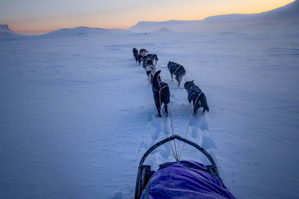 Expé Chiens de traineau et ski de rando en Norvège 3
