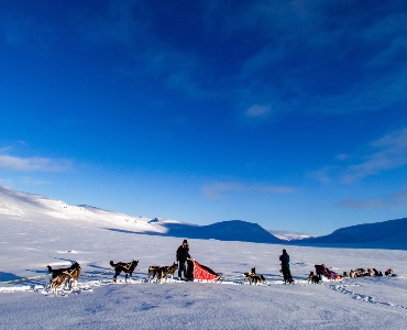 Expé Chiens de traineau et ski de rando en Norvège