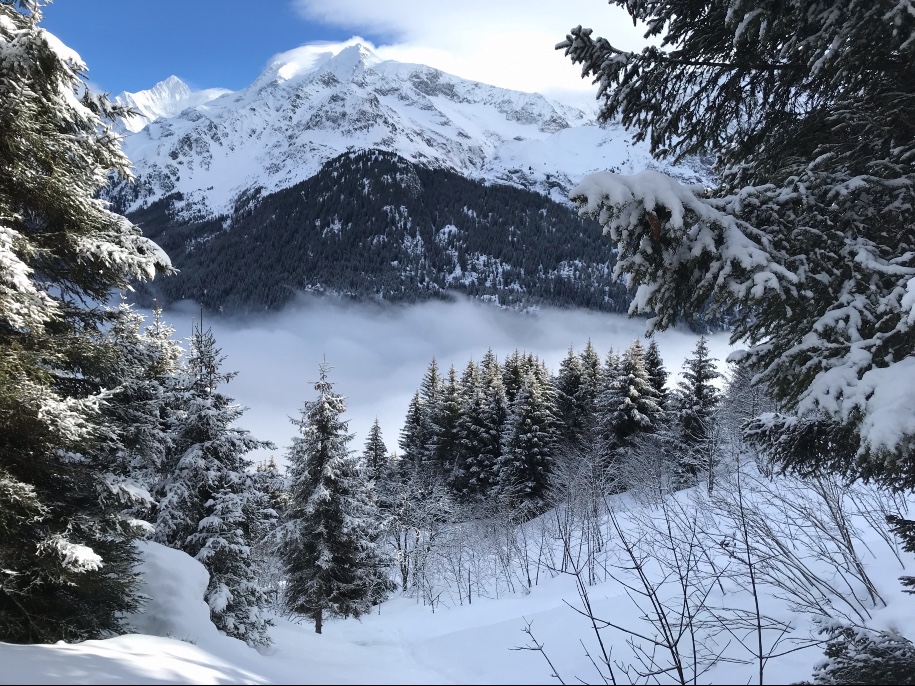 Ski perfectionnement et sécurité à Chamonix 7