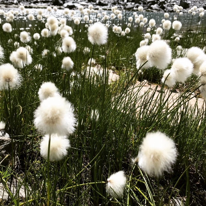 Trail Tour du Mont Rose en 6 jours 12