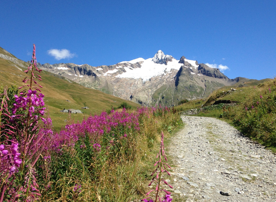 Reconnaissance UTMB® 3