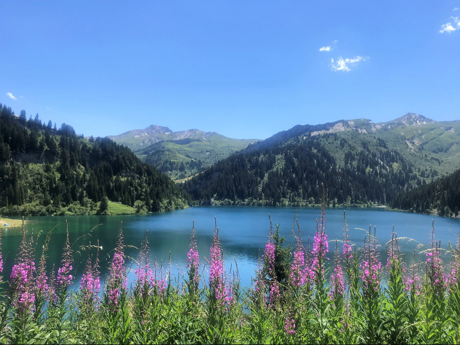 Initiation trail en montagne dans le Beaufortain 4