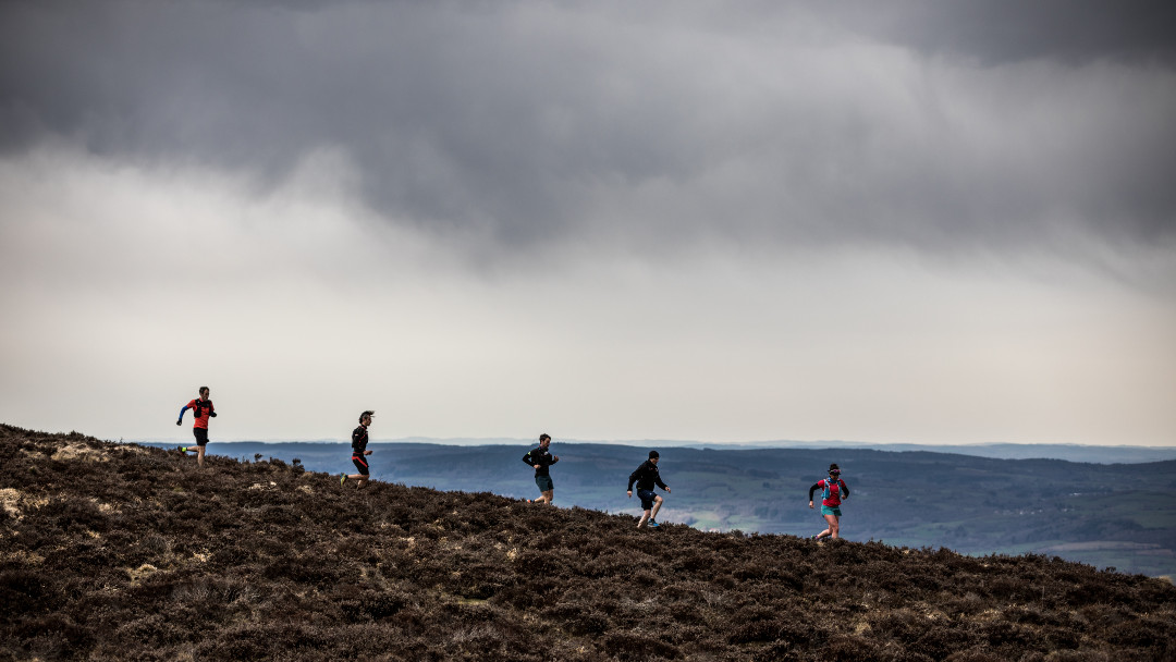 Perfectionnement trail dans le Puy de Dôme 14