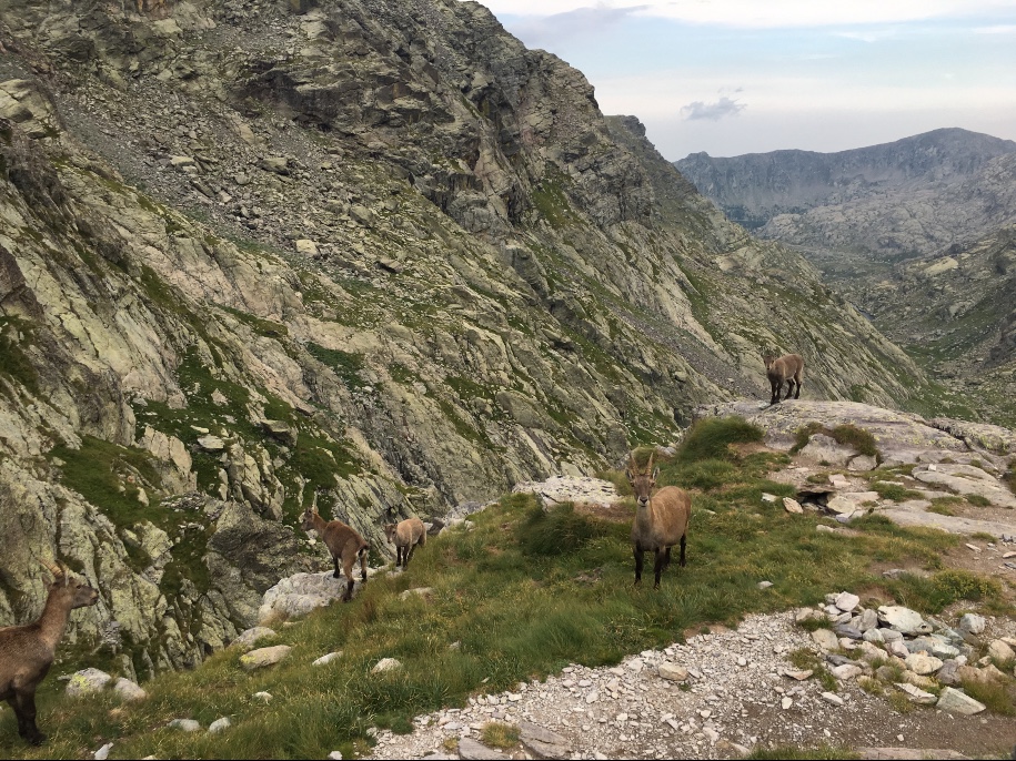 Trail Grande Traversée du Mercantour 15