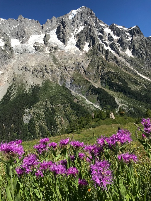 Rando -  Autour du Mont Blanc 4 jours 11