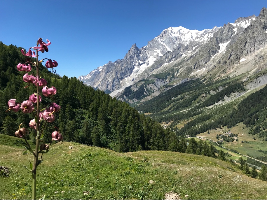 Rando -  Autour du Mont Blanc 4 jours 12