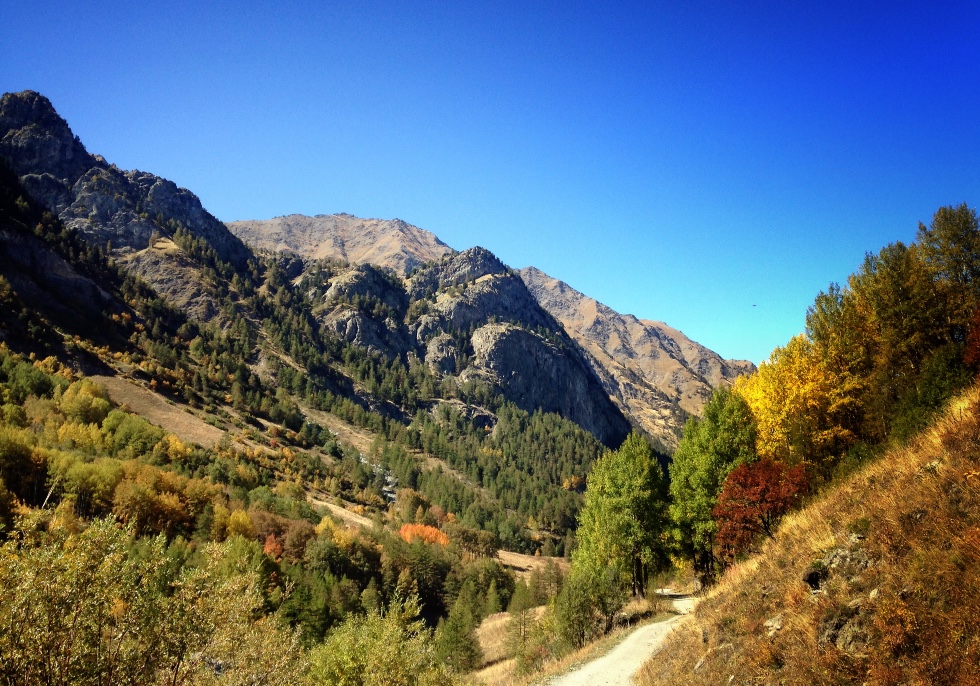 Trail - le Queyras sauvage 2